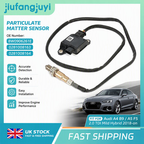 Particulate matter sensor - particulate,